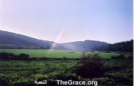 view from TheGrace website     