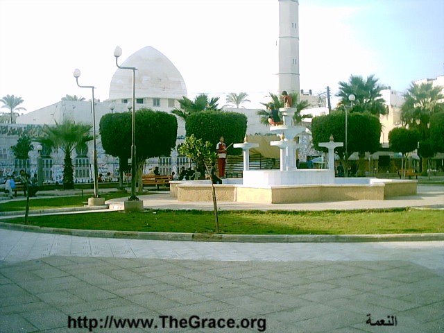 view from TheGrace website     