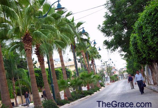 view from TheGrace website     