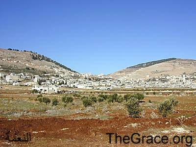 view from TheGrace website     